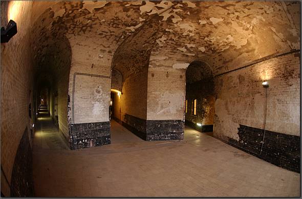 DSC_0795.JPG