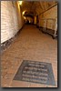 DSC_0878a.jpg